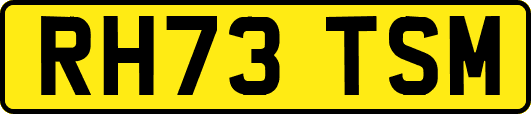 RH73TSM