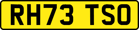 RH73TSO