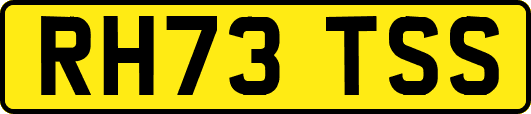 RH73TSS