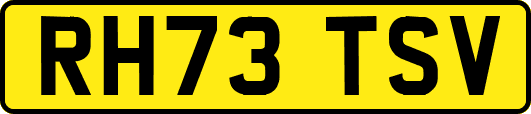 RH73TSV