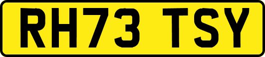 RH73TSY