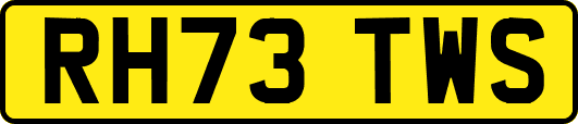 RH73TWS