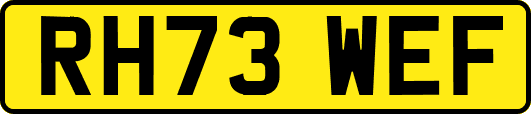 RH73WEF