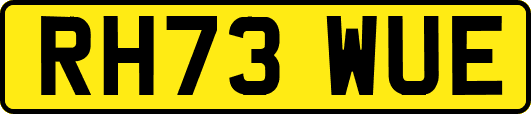 RH73WUE