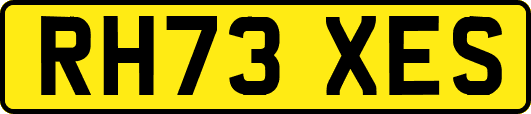 RH73XES