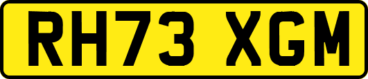 RH73XGM