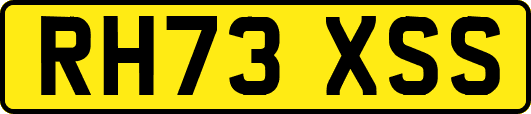 RH73XSS