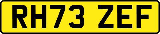 RH73ZEF