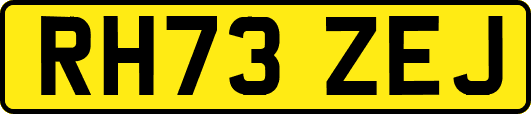 RH73ZEJ