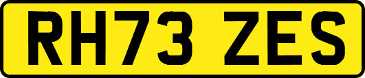 RH73ZES