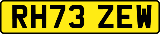 RH73ZEW