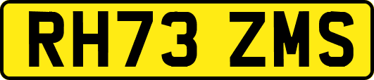 RH73ZMS