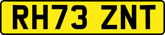RH73ZNT
