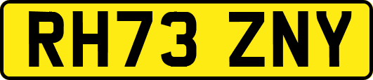 RH73ZNY