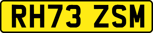 RH73ZSM