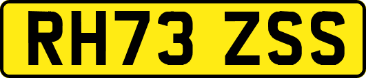 RH73ZSS