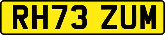 RH73ZUM