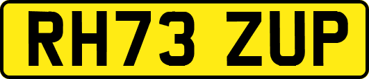 RH73ZUP