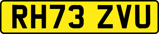 RH73ZVU
