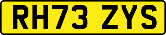 RH73ZYS