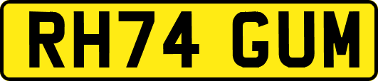 RH74GUM