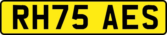 RH75AES