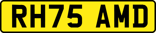 RH75AMD