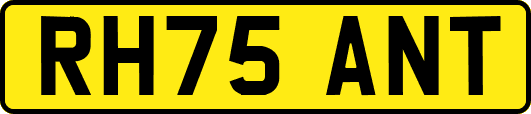RH75ANT