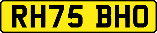 RH75BHO