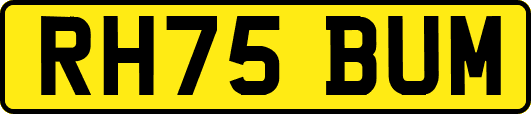 RH75BUM