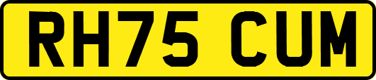RH75CUM