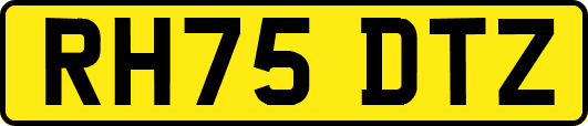 RH75DTZ