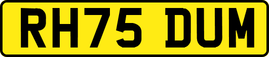 RH75DUM