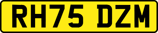 RH75DZM