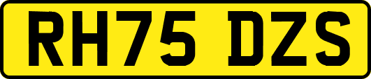 RH75DZS