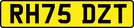 RH75DZT