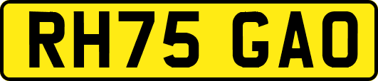 RH75GAO