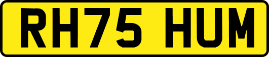 RH75HUM