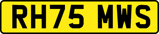 RH75MWS