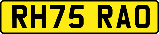 RH75RAO