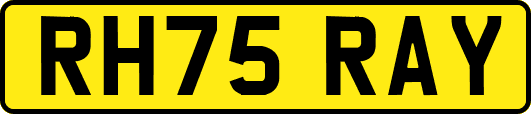 RH75RAY