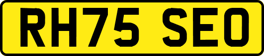 RH75SEO
