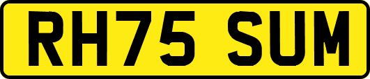 RH75SUM