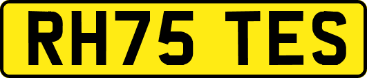 RH75TES