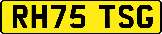 RH75TSG