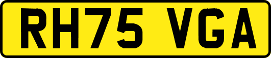 RH75VGA