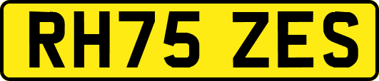 RH75ZES