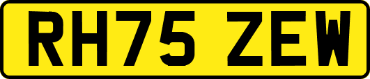 RH75ZEW