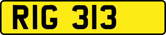 RIG313