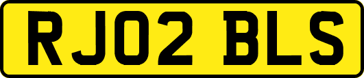 RJ02BLS